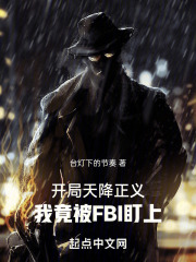 开局天降正义,我竟被FBI盯上蜜蜂中文