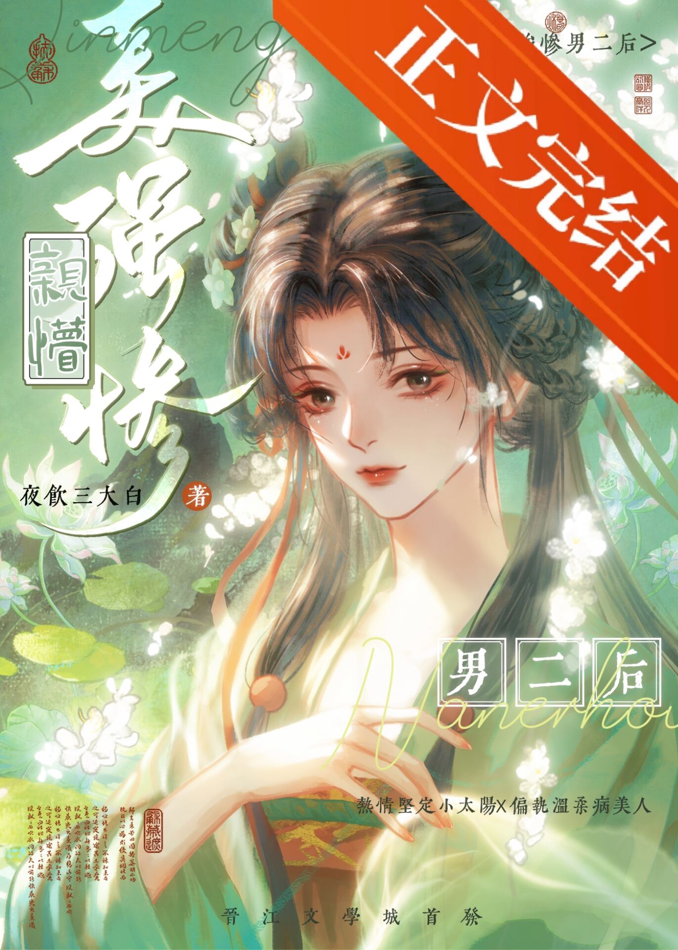 穿书后我亲懵了反派男二小说