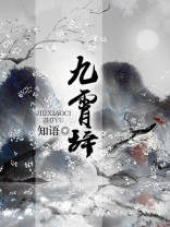 九霄圣地苏辞