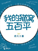 我的猫窝五百平
