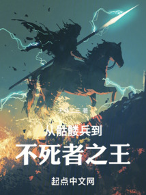 从骷髅兵到不死者之王TXT