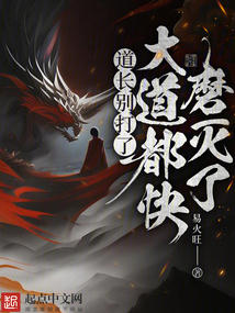 道长别打了,大道都快磨灭了 易火旺