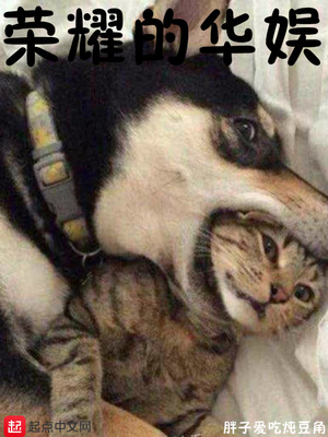 荣耀的华娱txt
