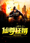 重生之仙尊狂婿