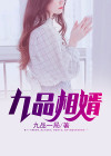 九品相婿免费阅读全文