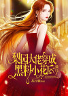 梨园小说