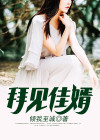 拜见女婿大人 小说
