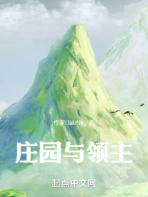 庄园与领主小说