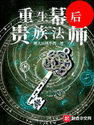 重生幕后贵族法师 小说