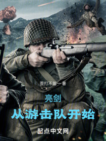 亮剑游击队的小说