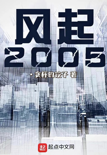 风起2005小说