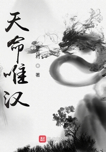 天命唯汉小说