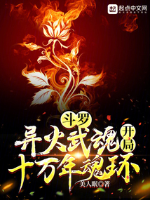 斗罗:异火武魂,开局十万年魂环 小说