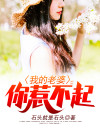 我的老婆你惹不起笔趣阁