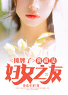摊牌了,我就是妇女之友 养乐不多