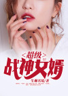 超级战神女婿叶凡林诗雨是谁