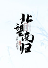 北望南归小说