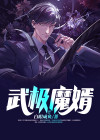 小说主人公武极