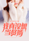 我真没想当赘婿 小说