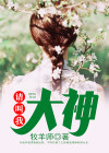 请叫我大神用英语怎么说