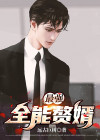 全能强婿小说