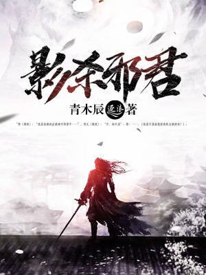 影杀小说百科