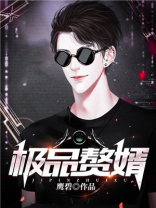 极品赘婿