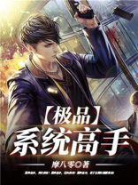 极品系统高手百度百科