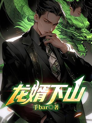 龙婿下山林翰