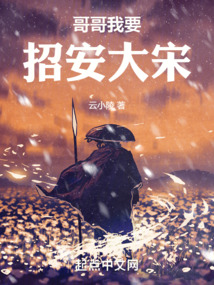 哥哥我要招安大宋 起点