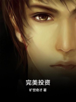 完美投资多少亿