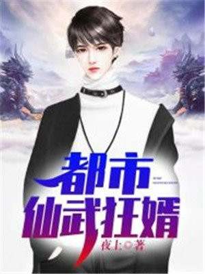 至尊傻婿