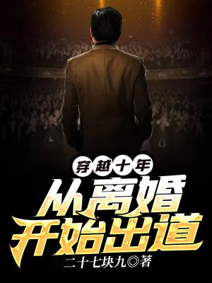 穿越十年从离婚开始出道小说