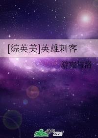 [综英美]英雄刺客