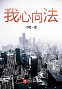 我心向法 宪法