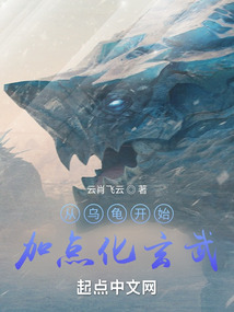 从乌龟开始进化的小说