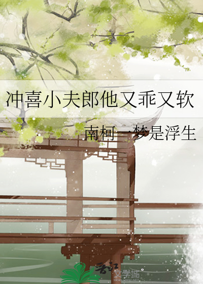 冲喜小夫郎他又乖又软南柯一梦是浮生百度网盘