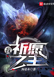 我,祈愿之主免费阅读