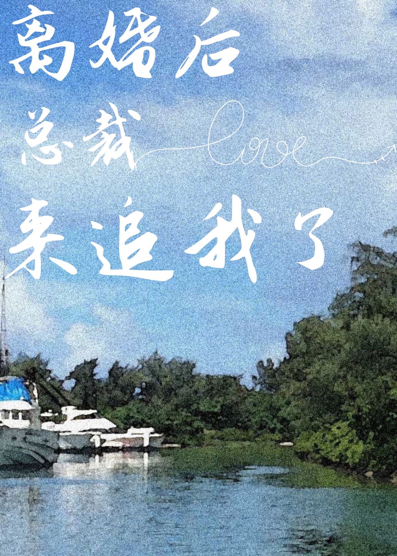 离婚后总裁火葬场了免费阅读小说
