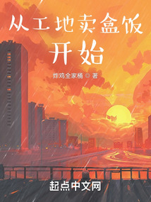 从工地卖盒饭开始TXT下载