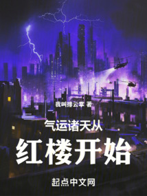 重生红楼练武带兵的小说