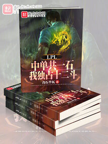 lpl中单共一石,我独占十二斗TXT下载精校版