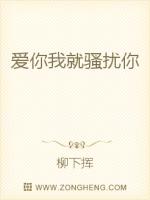 类似爱你我就骚扰你的小说