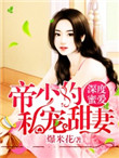 深度蜜爱:帝少的私宠暖妻