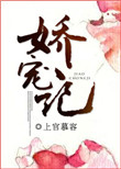 贵妃娘娘娇宠记