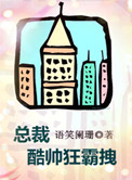 总裁酷帅狂霸拽讲的什么故事