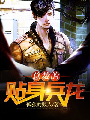 总裁的贴身兵龙陈浩