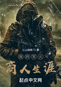 我的军火商人生涯 小说