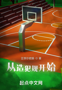 从造犯规开始