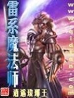 雷系魔法师 小说